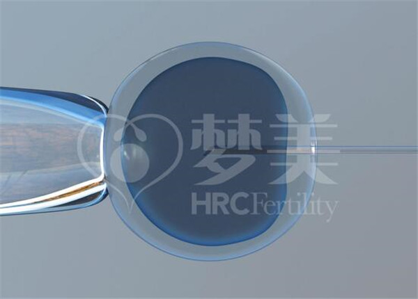 2022年有双胞胎的供卵试管婴儿的报价是多少-孕婴网