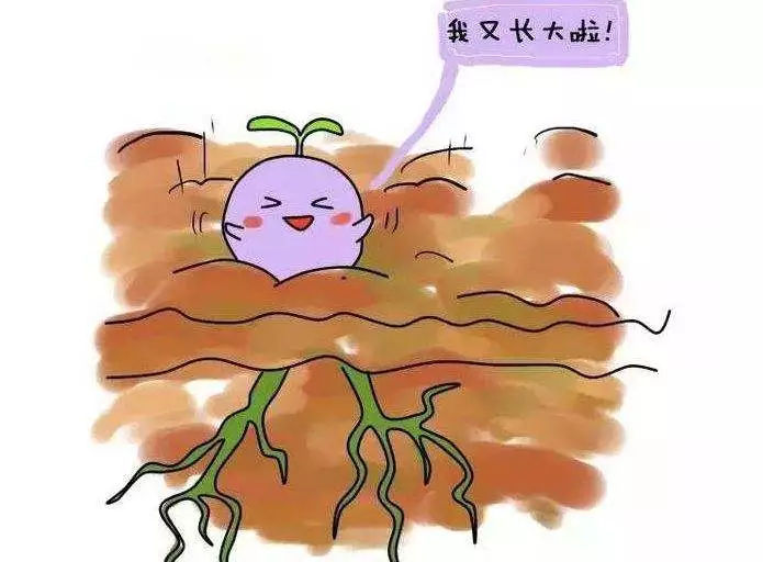 我做完赠卵试管婴儿后只长了一个卵子，还需要继续吗？