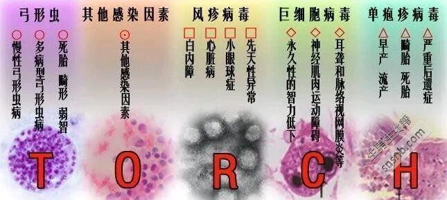 染色体正常但习惯性流产的夫妻，哪一代借卵试管婴儿好？