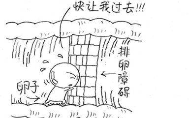 山东青岛供卵试管婴儿多少钱，3万到5万能做吗