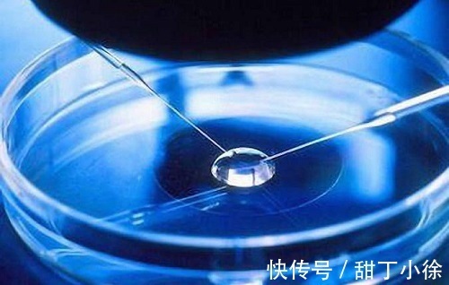 如何应对赠卵试管婴儿中子宫内膜薄的问题