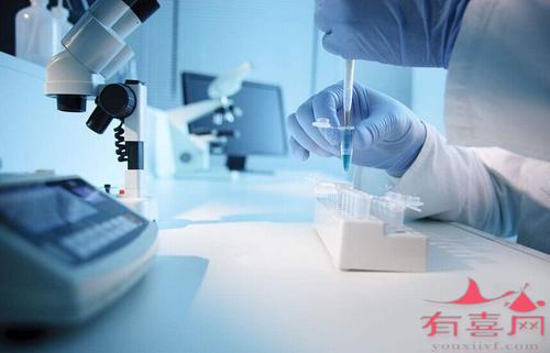 澳洲单身供卵试管婴儿-澳洲供卵试管婴儿可以选择性别吗