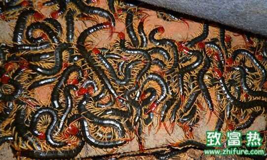 大家的供卵做试管婴儿都是在哪里做的？哪里的人比较好？