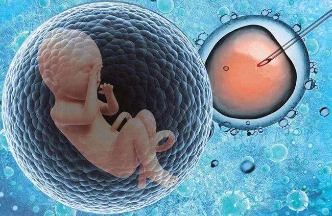 大家的供卵做试管婴儿都是在哪里做的？哪里的人比较好？