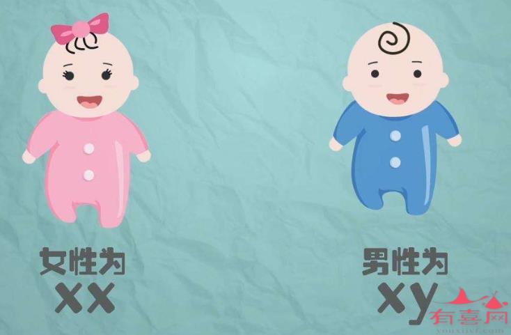 青岛借卵做试管婴儿机构。在借卵做试管婴儿医院生孩子需要什么文件？
