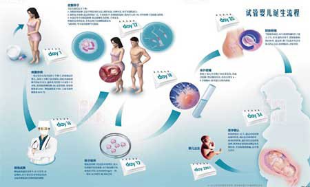 青岛医院的供卵做试管婴儿费用是多少？