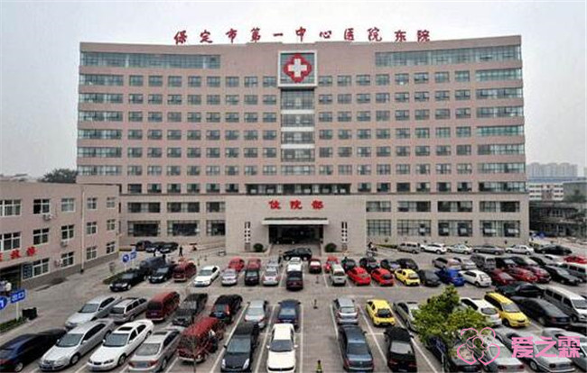 年龄是影响供卵试管婴儿成功率的决定性因素吗？