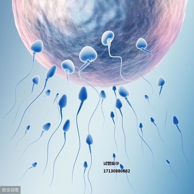 第一代、第二代和第三代赠卵试管婴儿之间有什么区别？我应该如何选择？