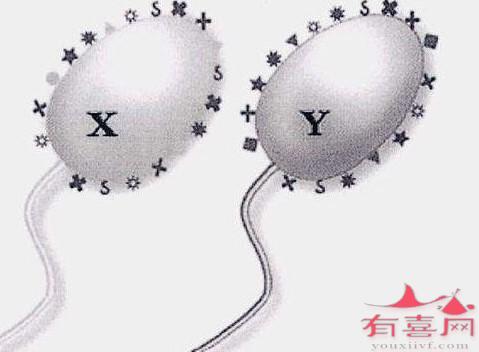 宁夏供卵做自怀三代试管医院排名：哪家医院供卵做二代自怀试管技术好？