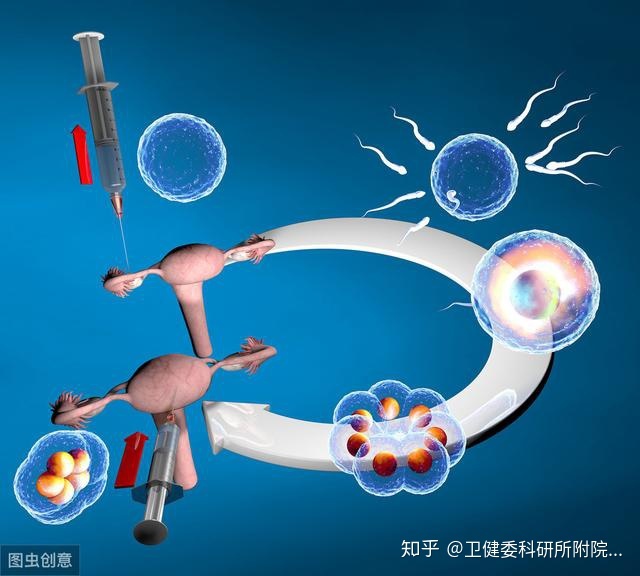 供卵试管三代代生和自然受孕之间有什么区别？这篇文章带你了解一下