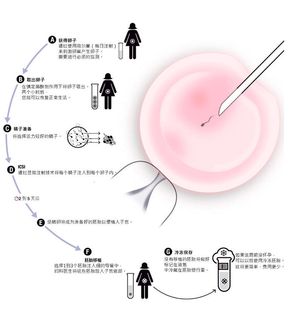 天津成功率高的借卵试管三代自怀费用大概是多少