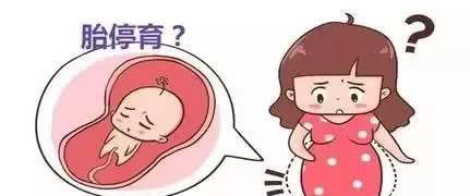 顺德妇幼保健院生殖中心哪个孕育医生做借卵试管最好