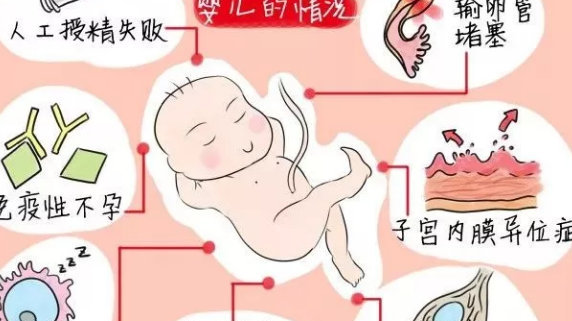 娱乐圈供卵试管婴儿的夫妻