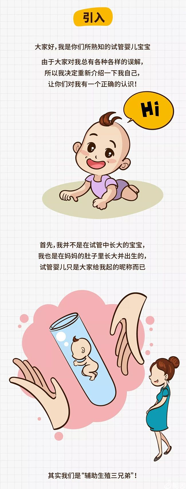 婴儿供卵做试管的费用大概多少钱