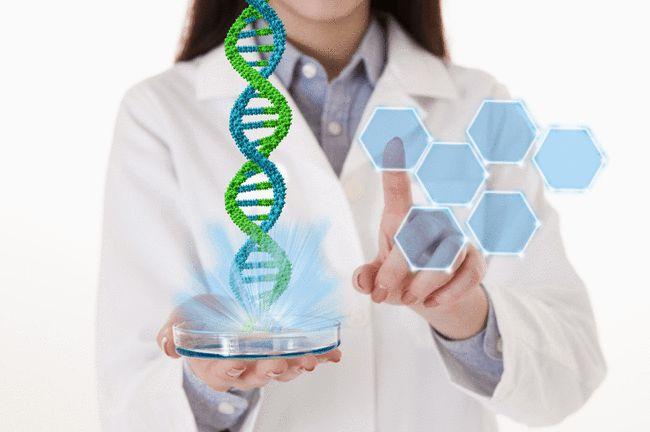 供卵试管周期是什么意思