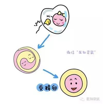 上班族做供卵试管婴儿要请假几天