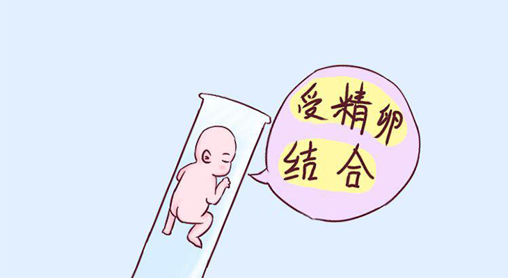 自然怀孕好还是做供卵试管婴儿好知乎