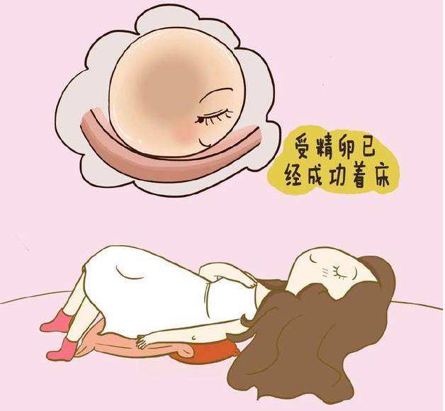青岛生殖借卵试管私立医院