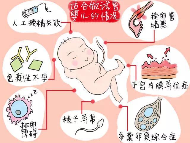 实验试管多少毫升