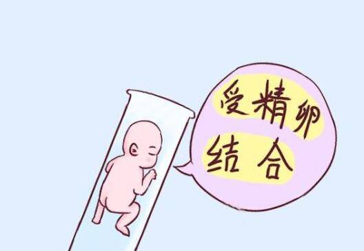 试管婴儿孕周计算