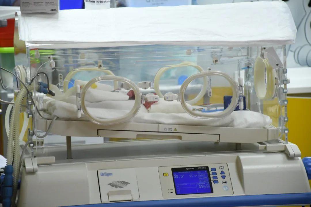 试管优质胚胎怎么定义