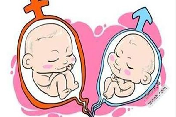 2023年山东青岛市妇幼保健院供卵年龄45岁试管代怀费用要多少钱？