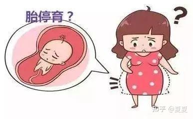 家多宝试管代怀之鱼刺卡喉怎么办？