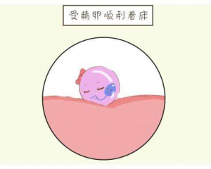 家多宝试管代怀之鱼刺卡喉怎么办？