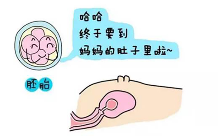 山东青岛试管代怀机构有哪些做几代试管