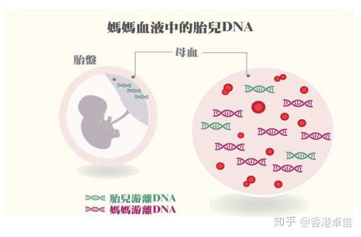 iui是不是哪里有试管代怀的人生殖中心IUI是什么