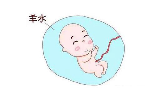 私人试管医院婴儿是如何选择黄体酮